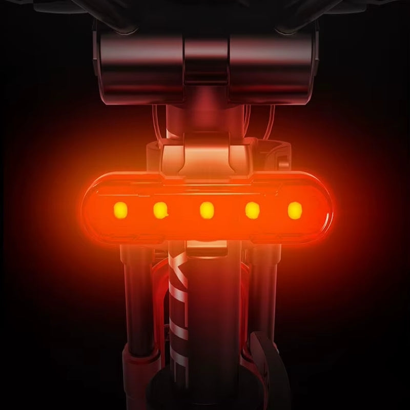 LED bicycle light mounted on seatpost